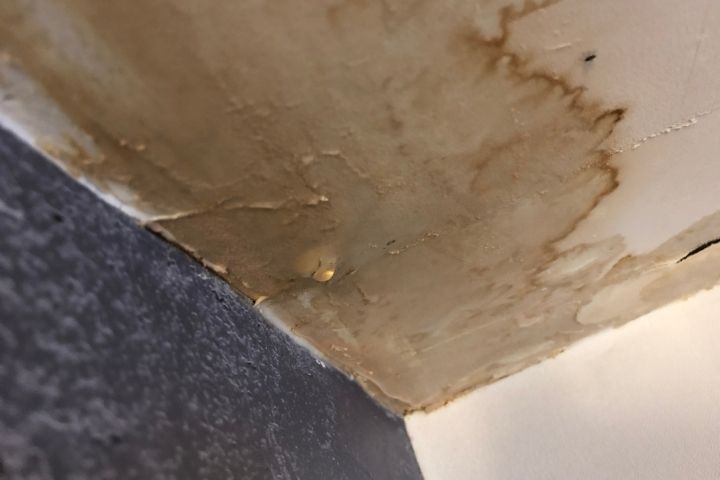 Ceiling stains and peeling paint showing the hidden cost of plumbing leaks.
