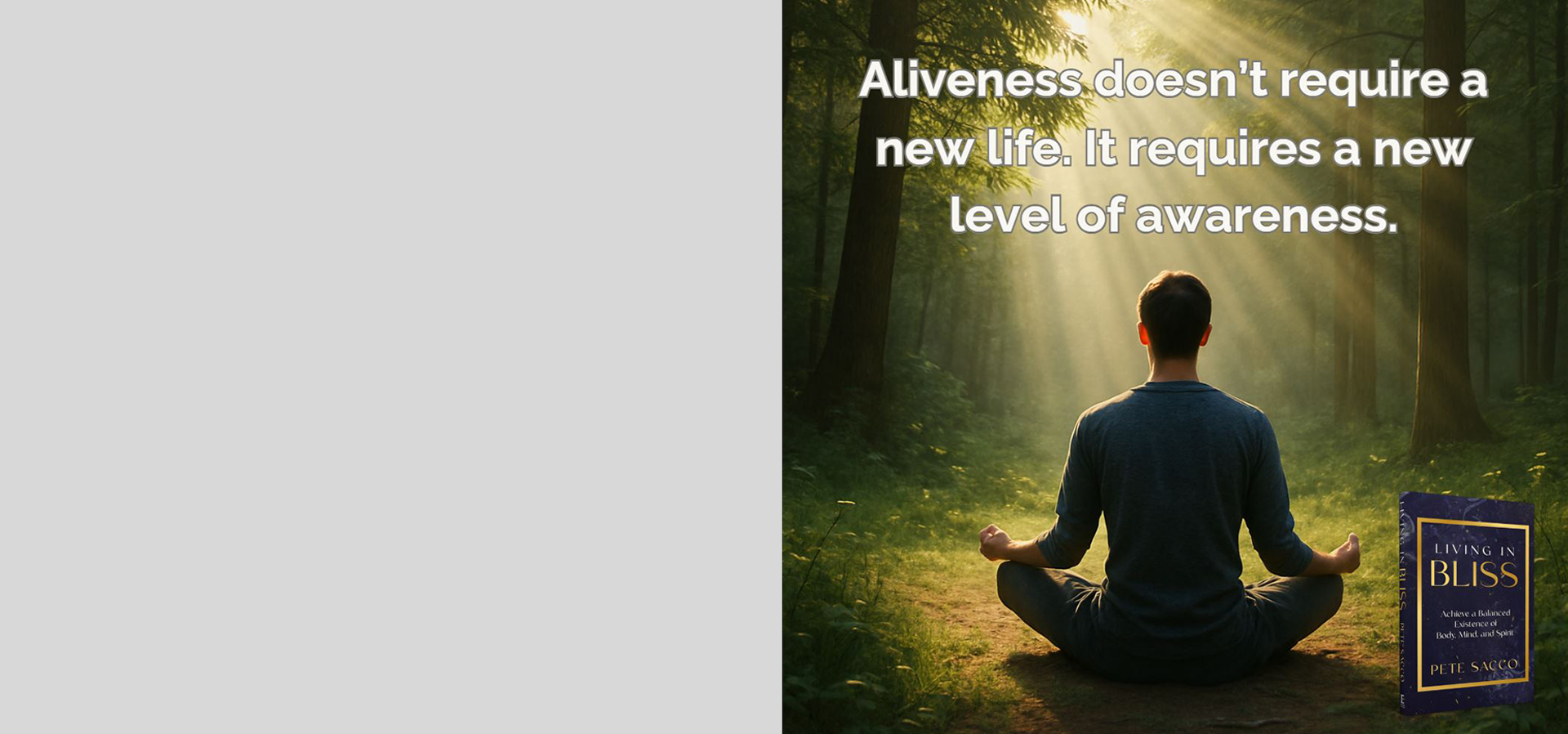 Living in Bliss forest image