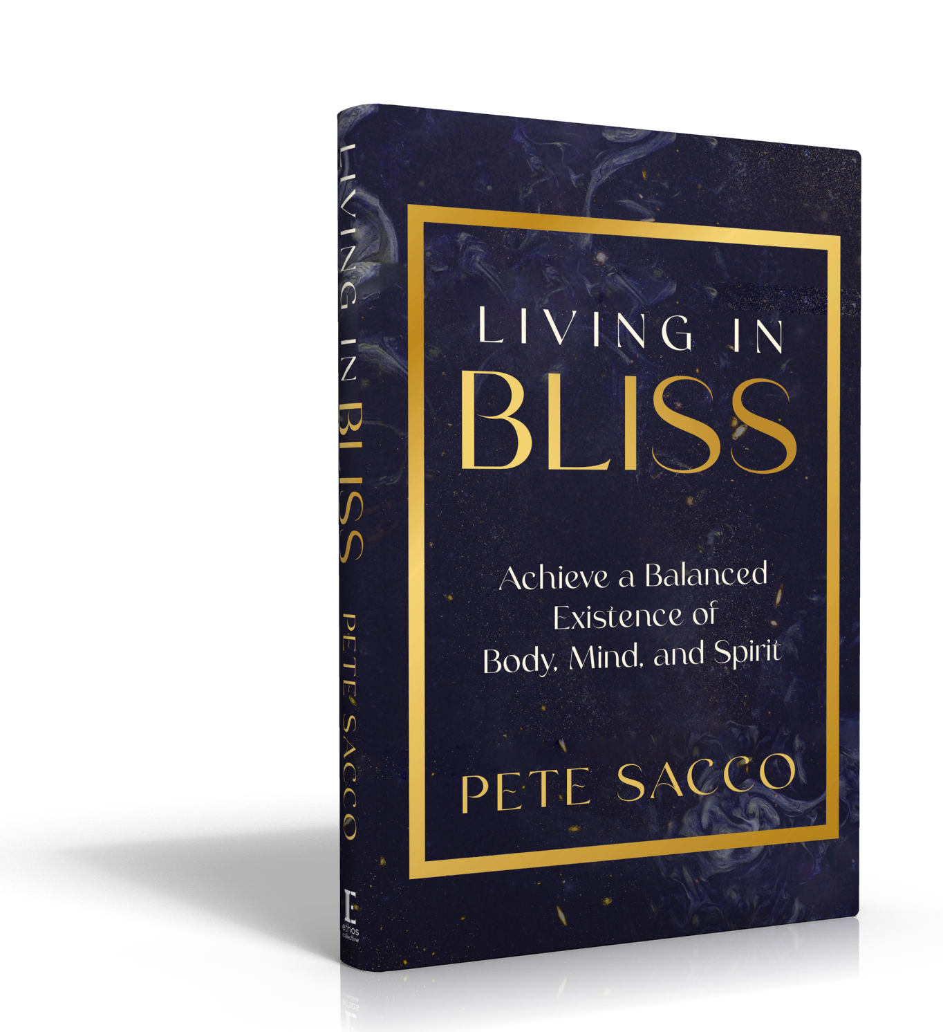 3D Living in Bliss book cover