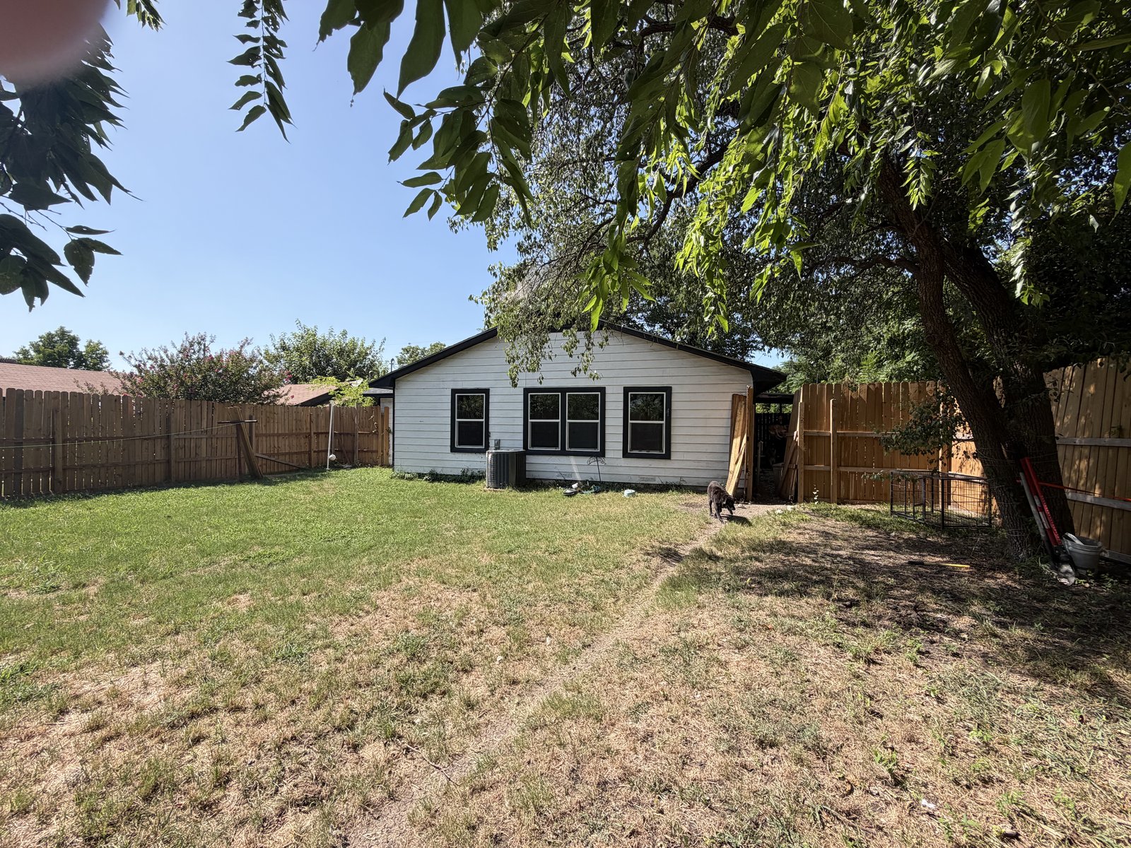 Backyard