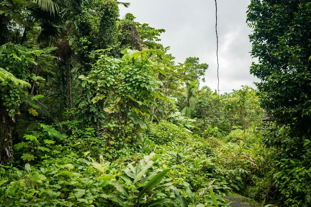 Puerto Rico and Cancun adventure travel experiences