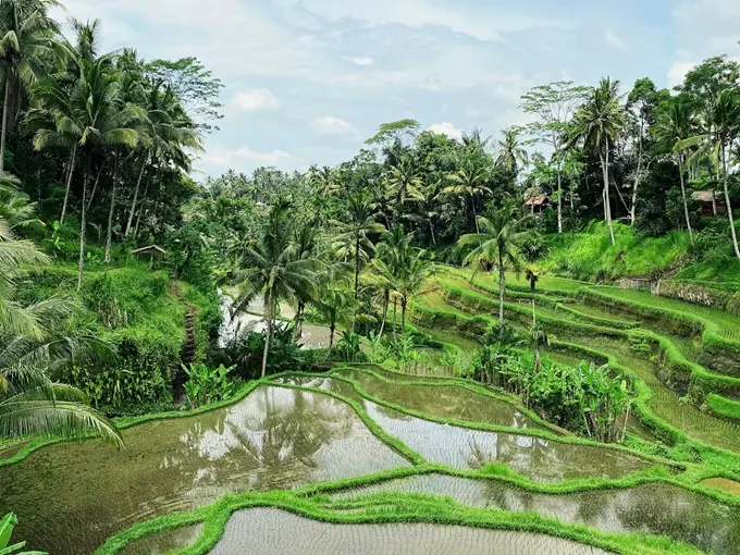 Ubud