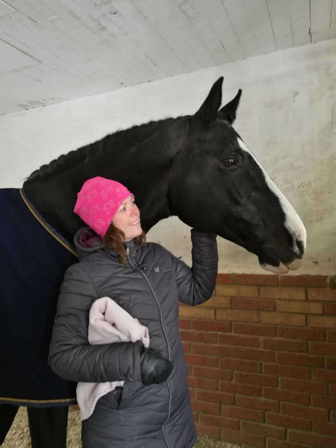 With Sir Oldenburg, the stallion I chose for Baghira