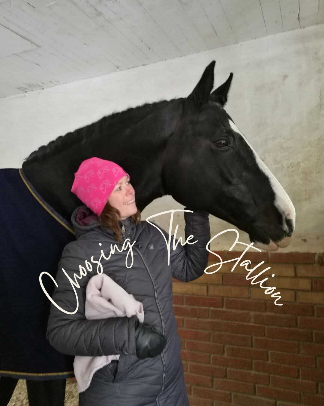 Camilla with stallion Sir Oldenburg Camilla with stallion Sir Oldenburg