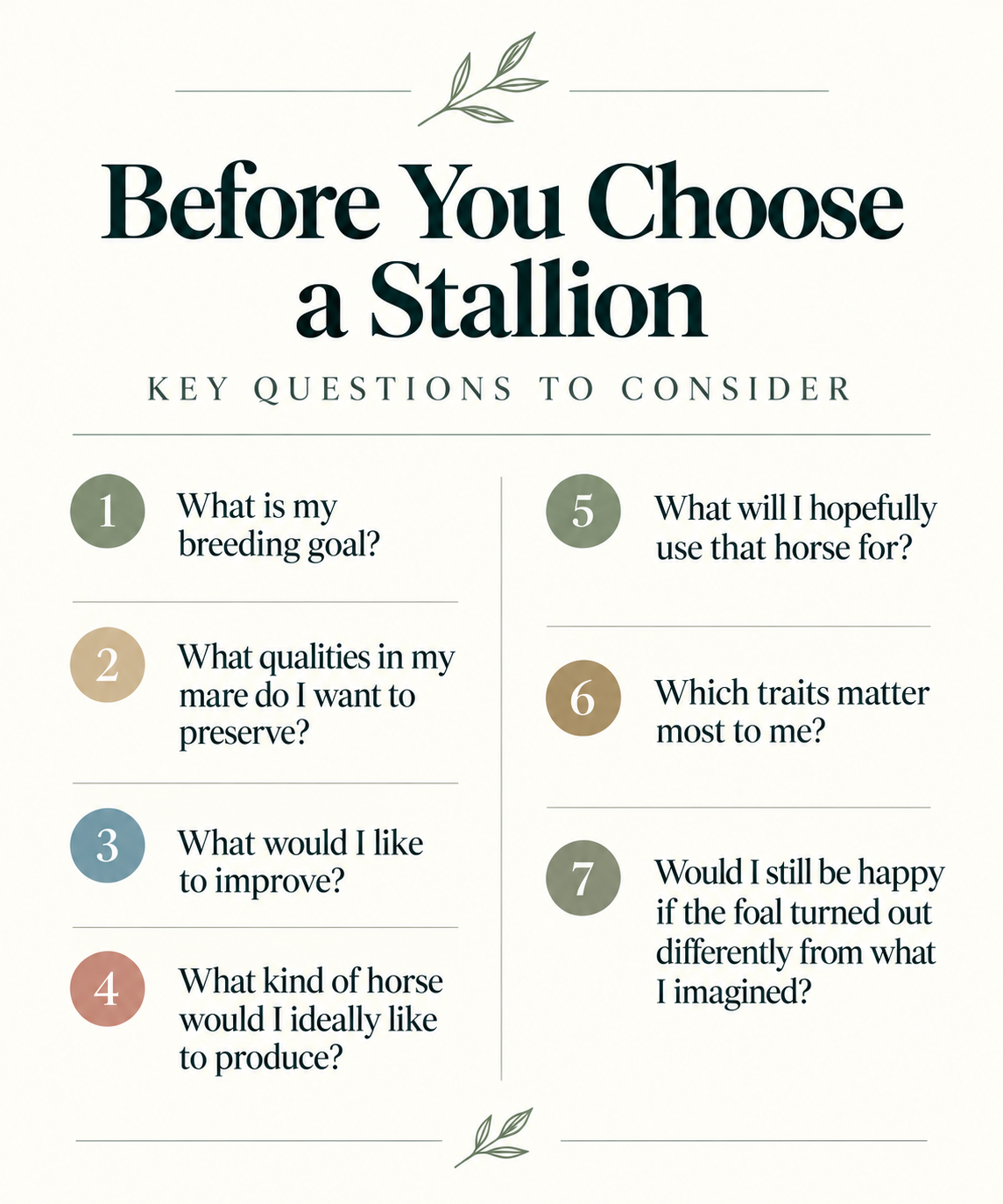 What to consider before choosing a stallion