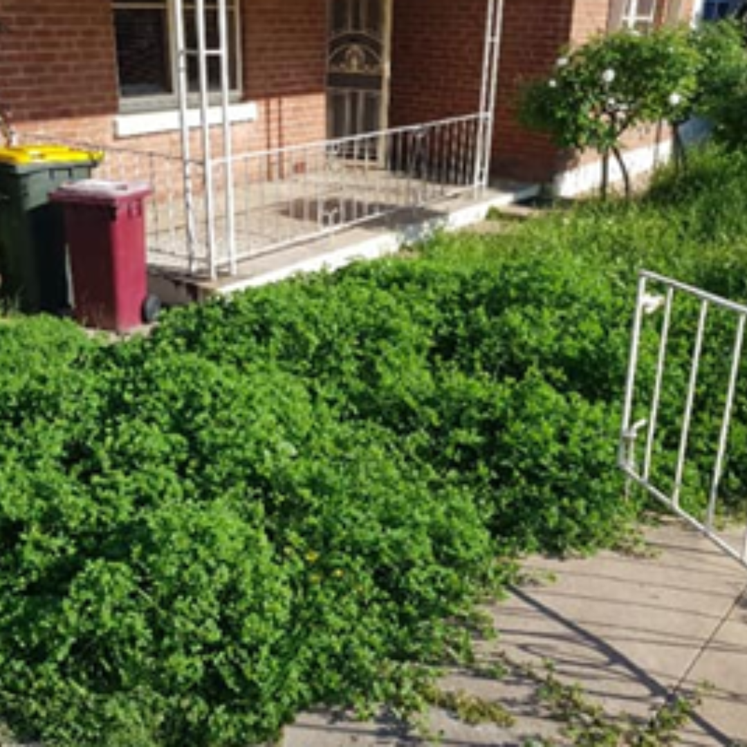 Before - SNS Facility Services