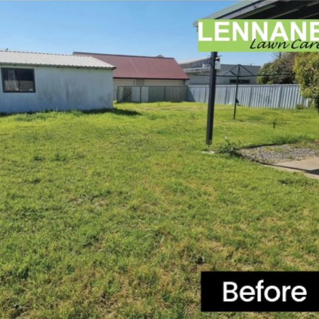 Lawn Mowing – Lake Macquarie before lawn mowing with improved grass finish