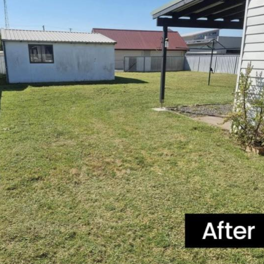 Lawn Mowing – Lake Macquarie after lawn mowing with improved grass finish