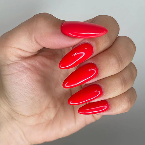 ZEN Builder Gel treatment