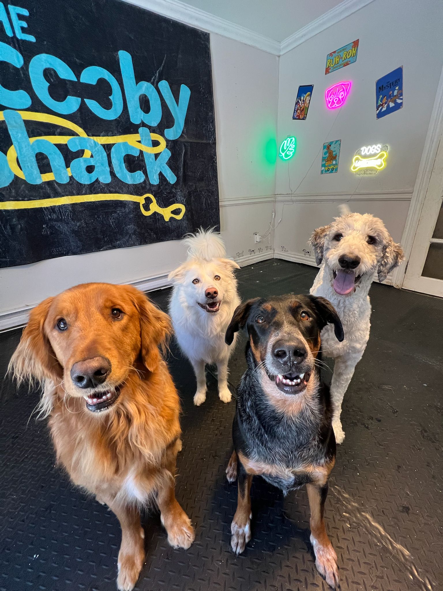 Happy guest playing at Scooby Shack