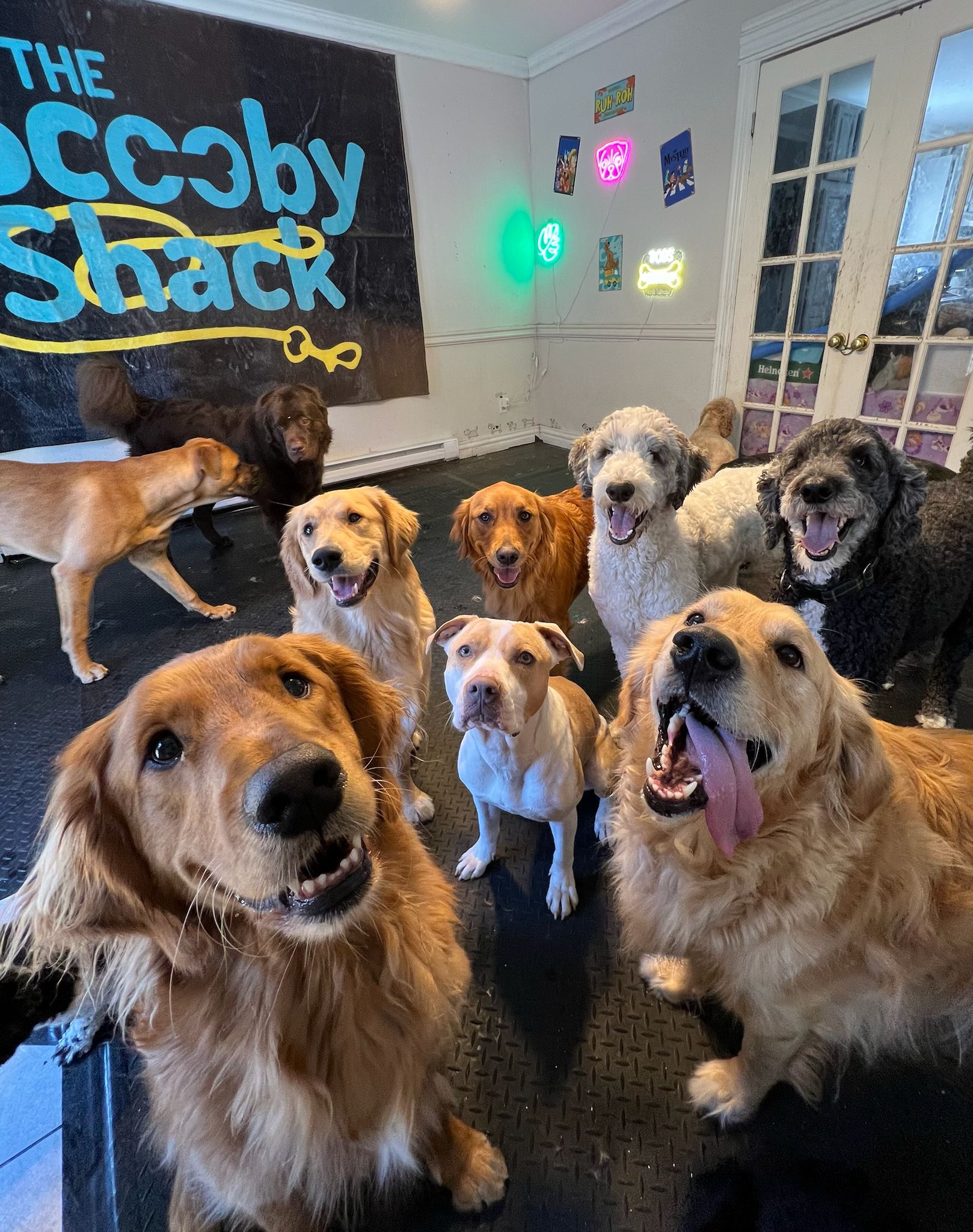 Happy guest playing at Scooby Shack
