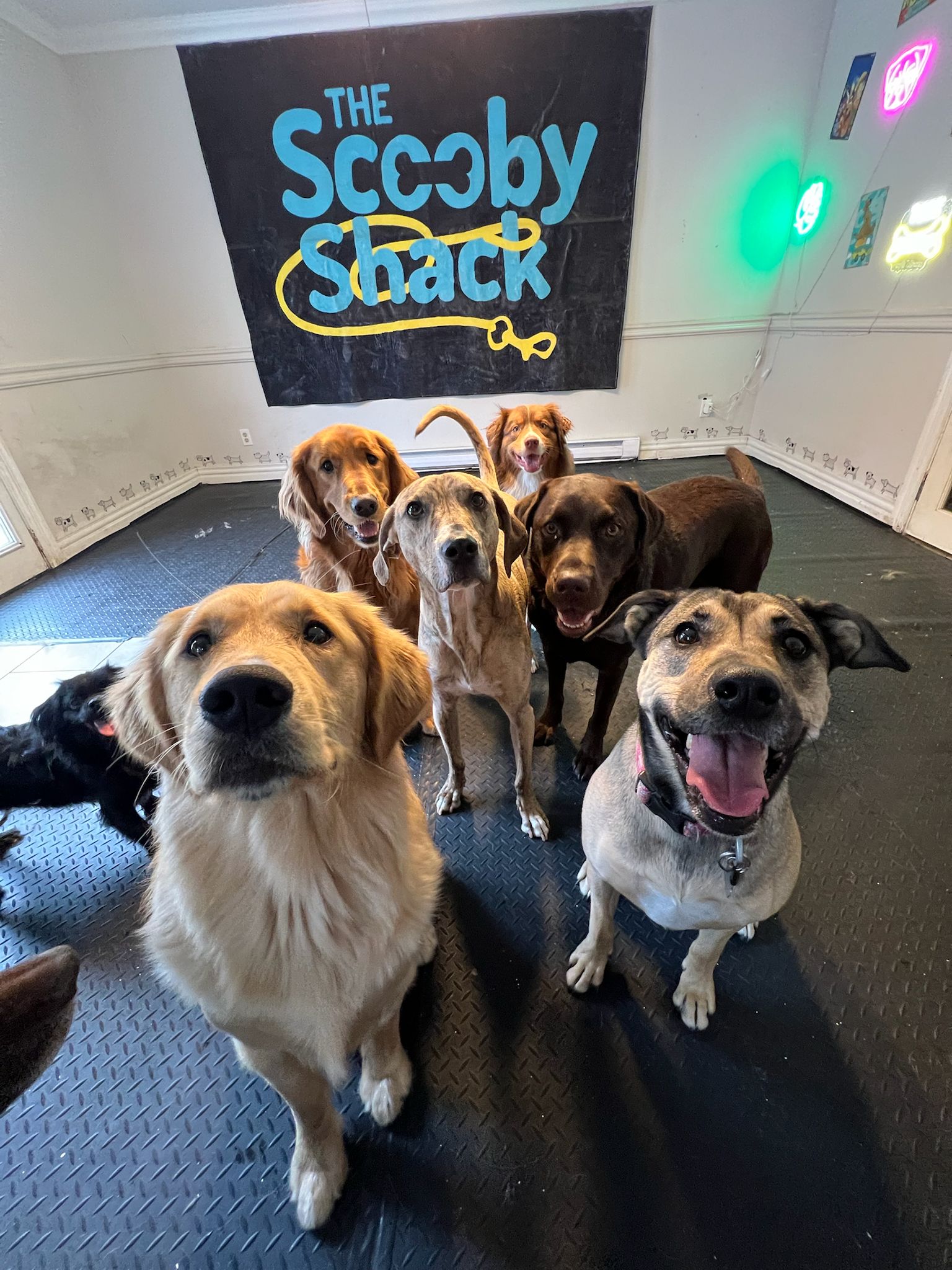 Happy guest playing at Scooby Shack