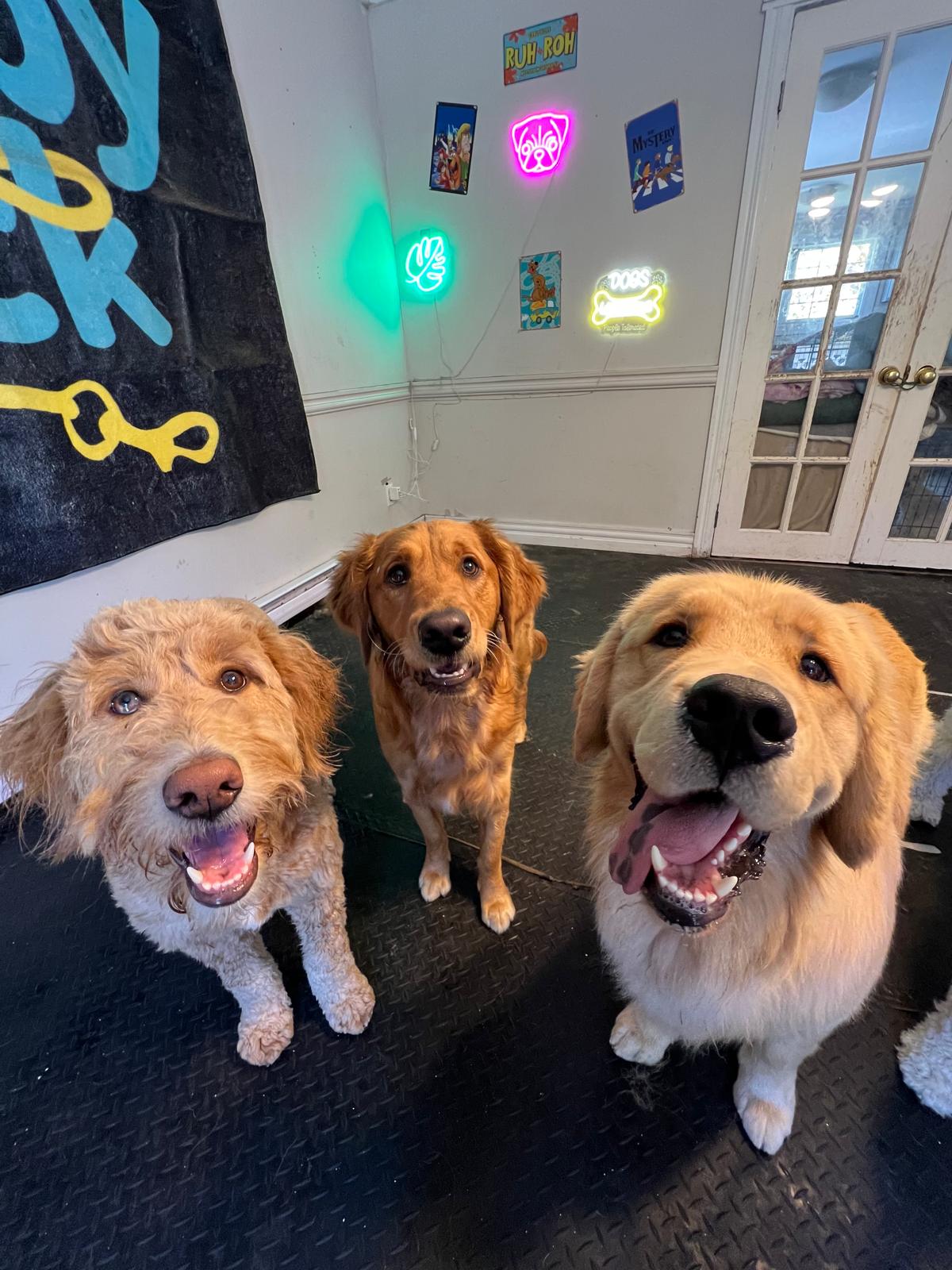 Happy guest playing at Scooby Shack