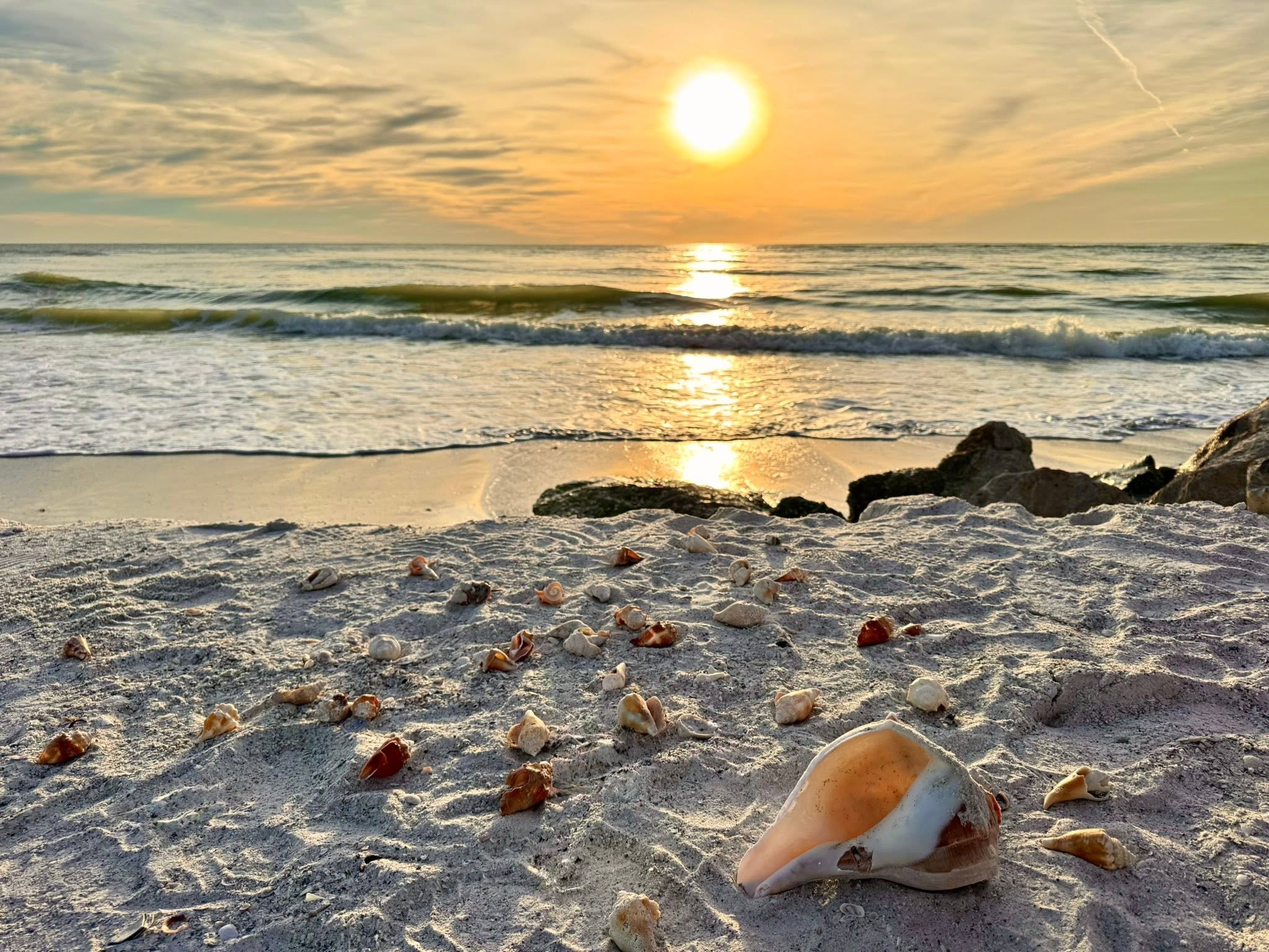 Seashells glowing beneath a sunset