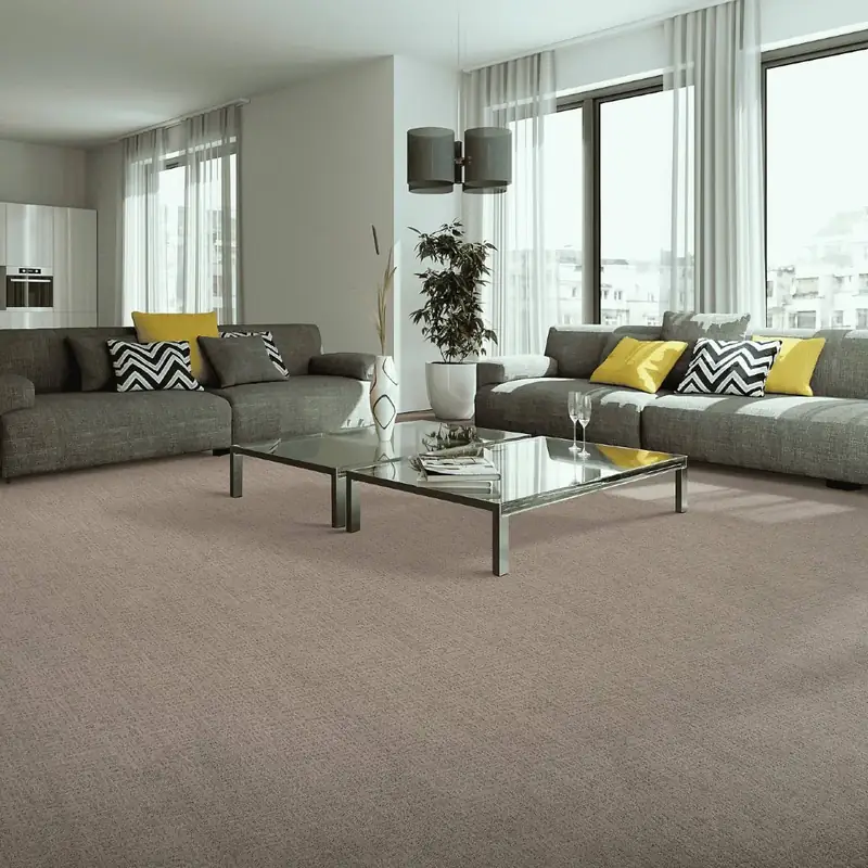 Living room with soft neutral carpet
