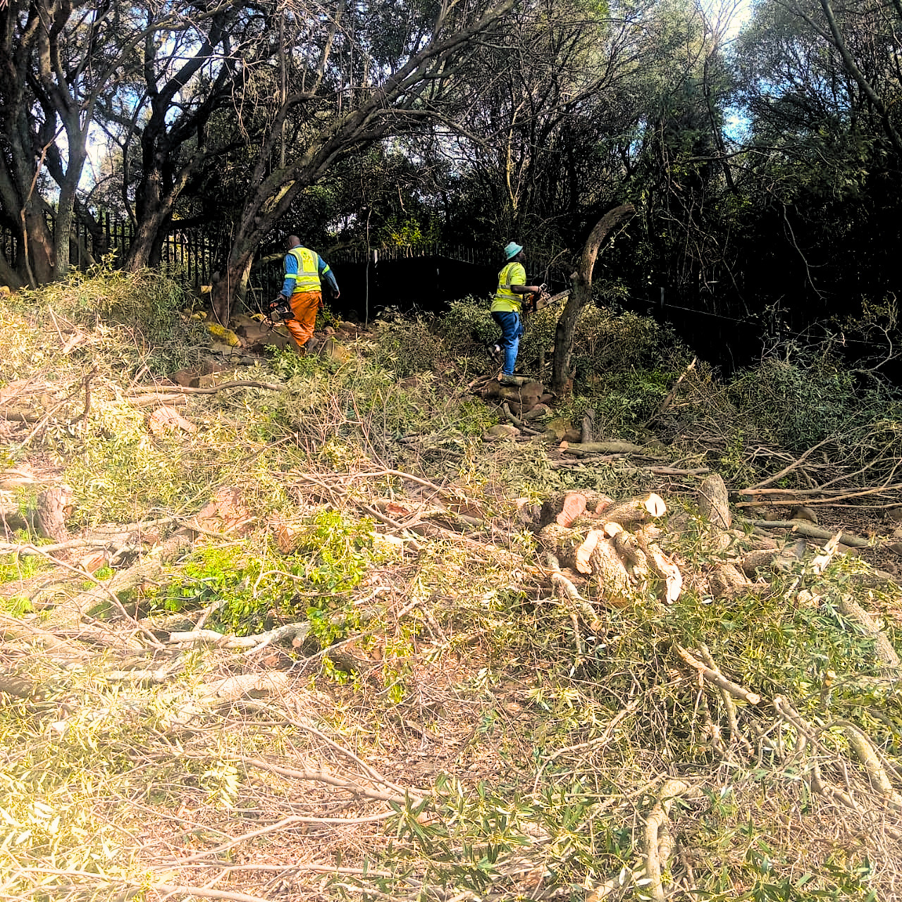 Outdoor and yard cleanup service in Northcliff, Johannesburg