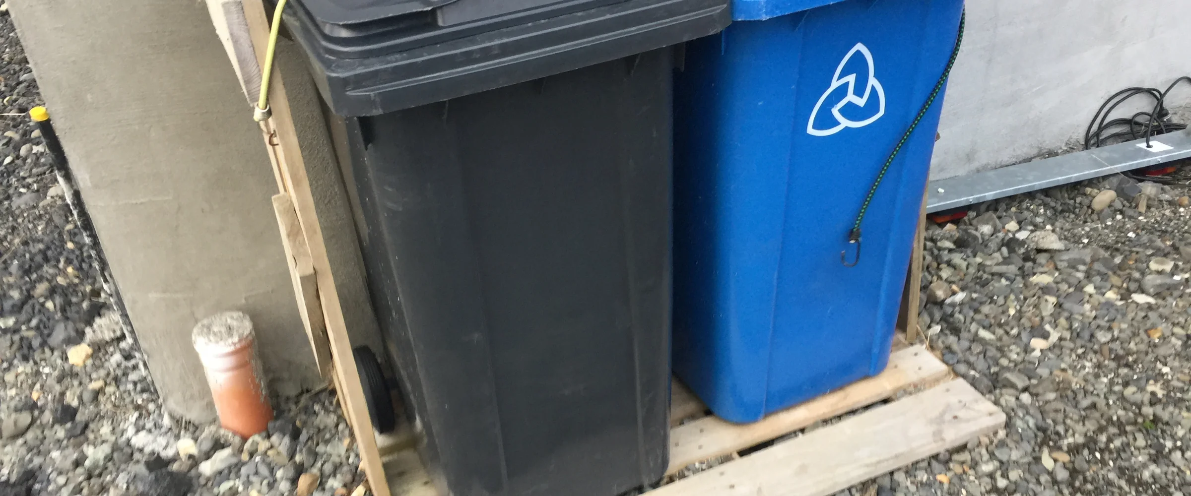 A black trash bin and a blue recycling bin with a symbol sit on a wooden pallet next to a concrete wall on gravel.