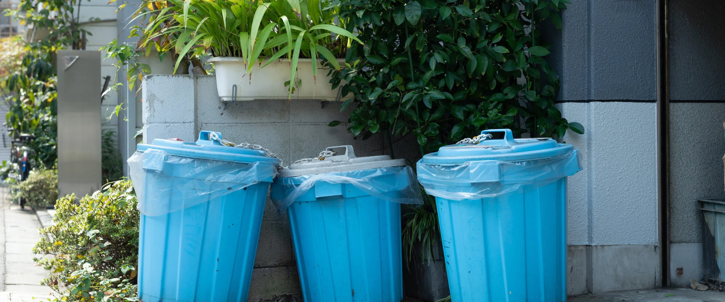 Three light blue recycling bins with clear plastic bags and chains on lids, lined against a textured wall with green plants.