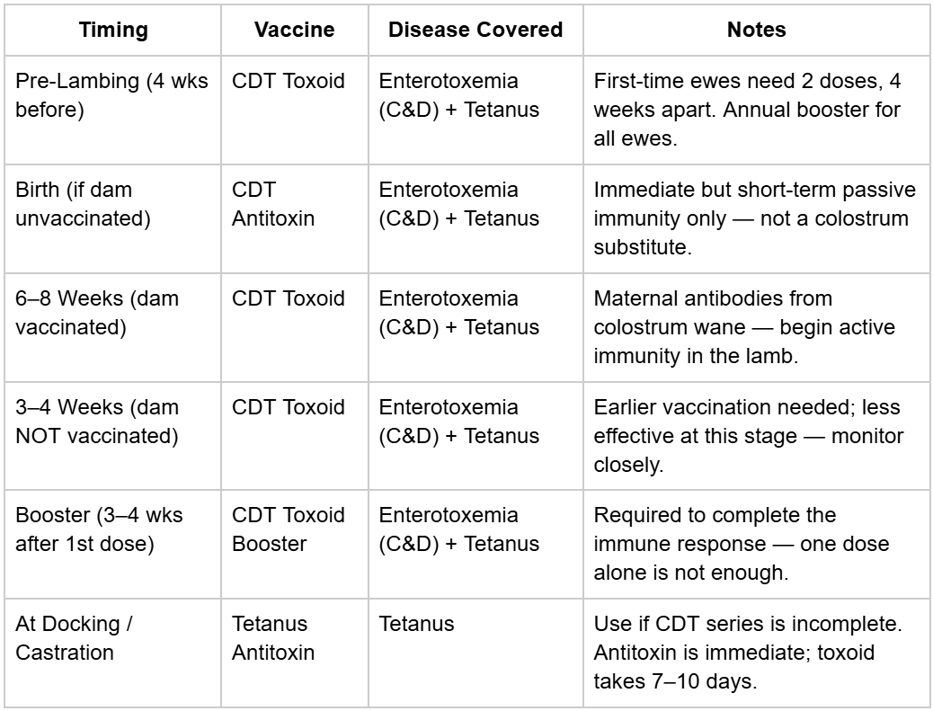 A table titled Target BCS by Production Stage, showing ideal body condition scores for sheep