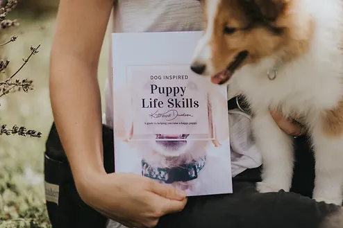 Shetland Sheep Dog Puppy And dog training book in Laval