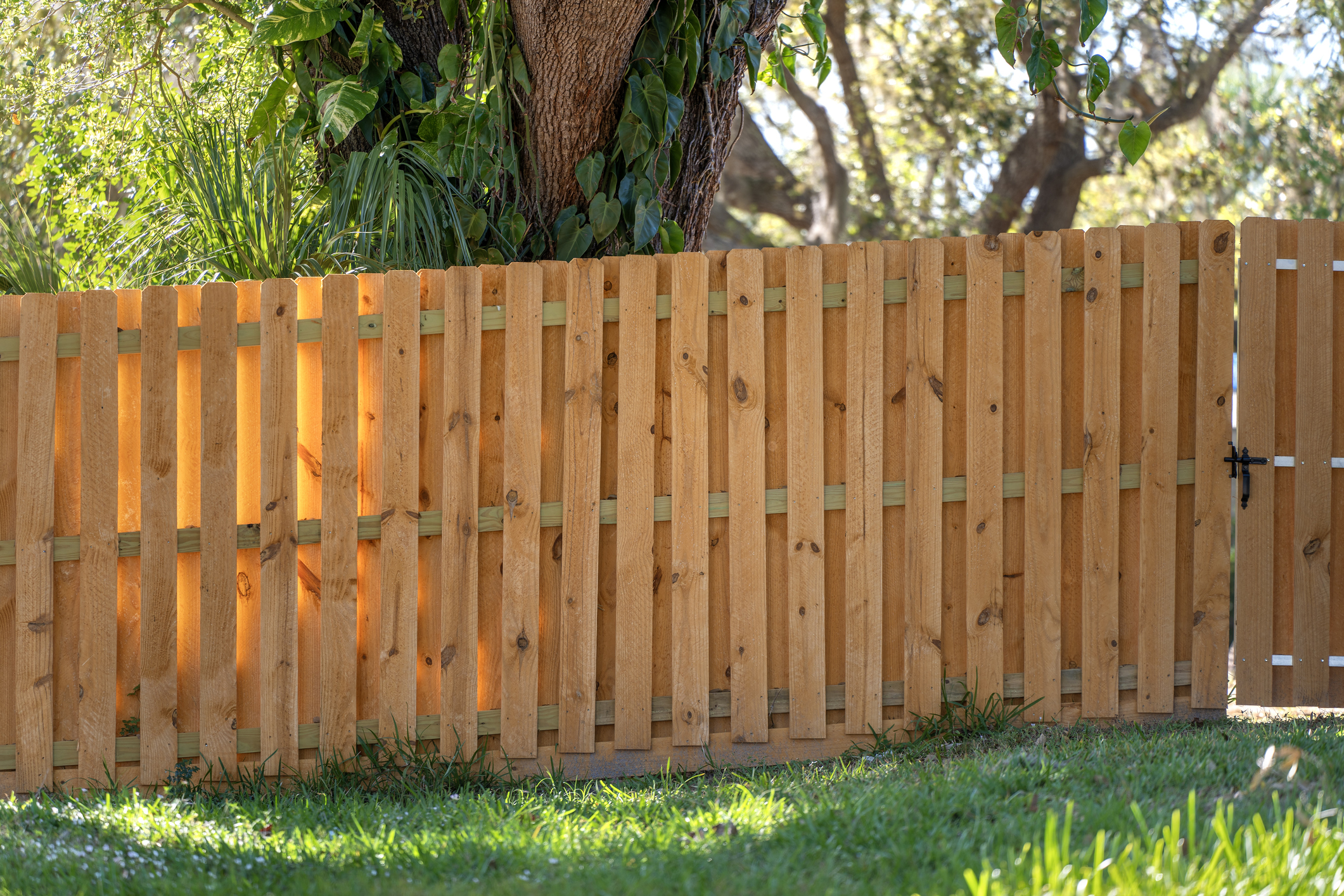 Fence Installation installed by J Rock Window Pro LLC