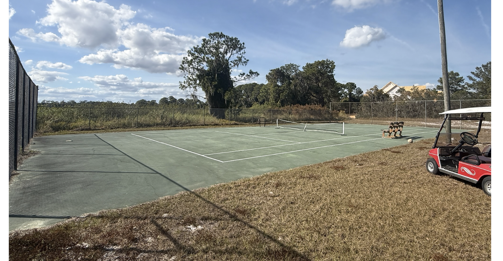 image of a green pickleball court