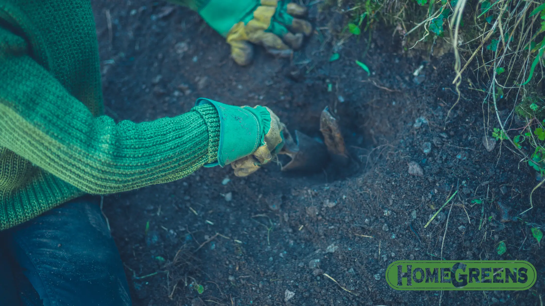 Core aeration vs spike aeration for lawn aeration Perth on clay soil.
