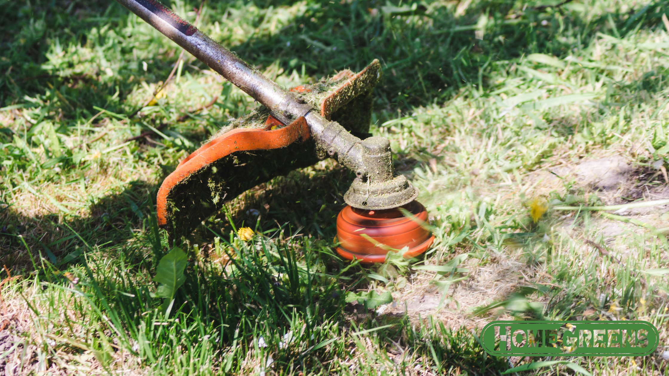Lawn mowing Perth builds strong bug-resistant grass.
