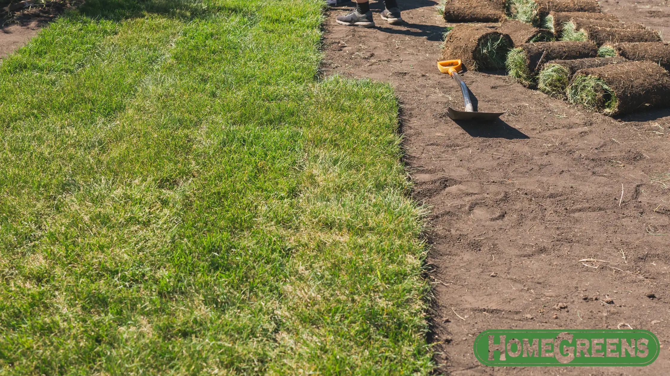 Lawn care Perth targets armyworms sod webworms.
