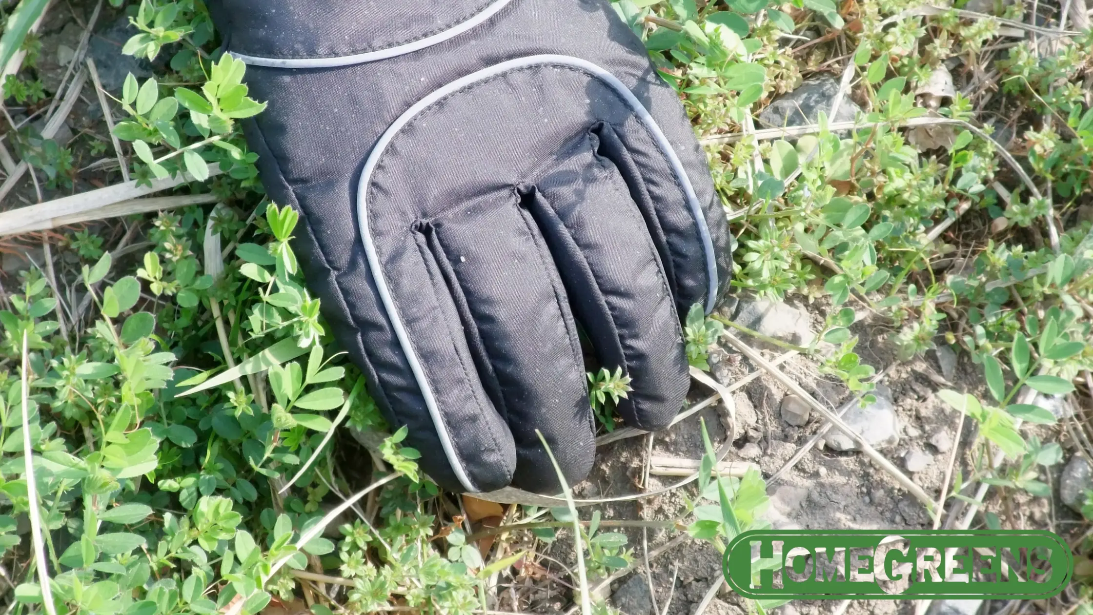 Weed control and lawn care Perth maintenance services