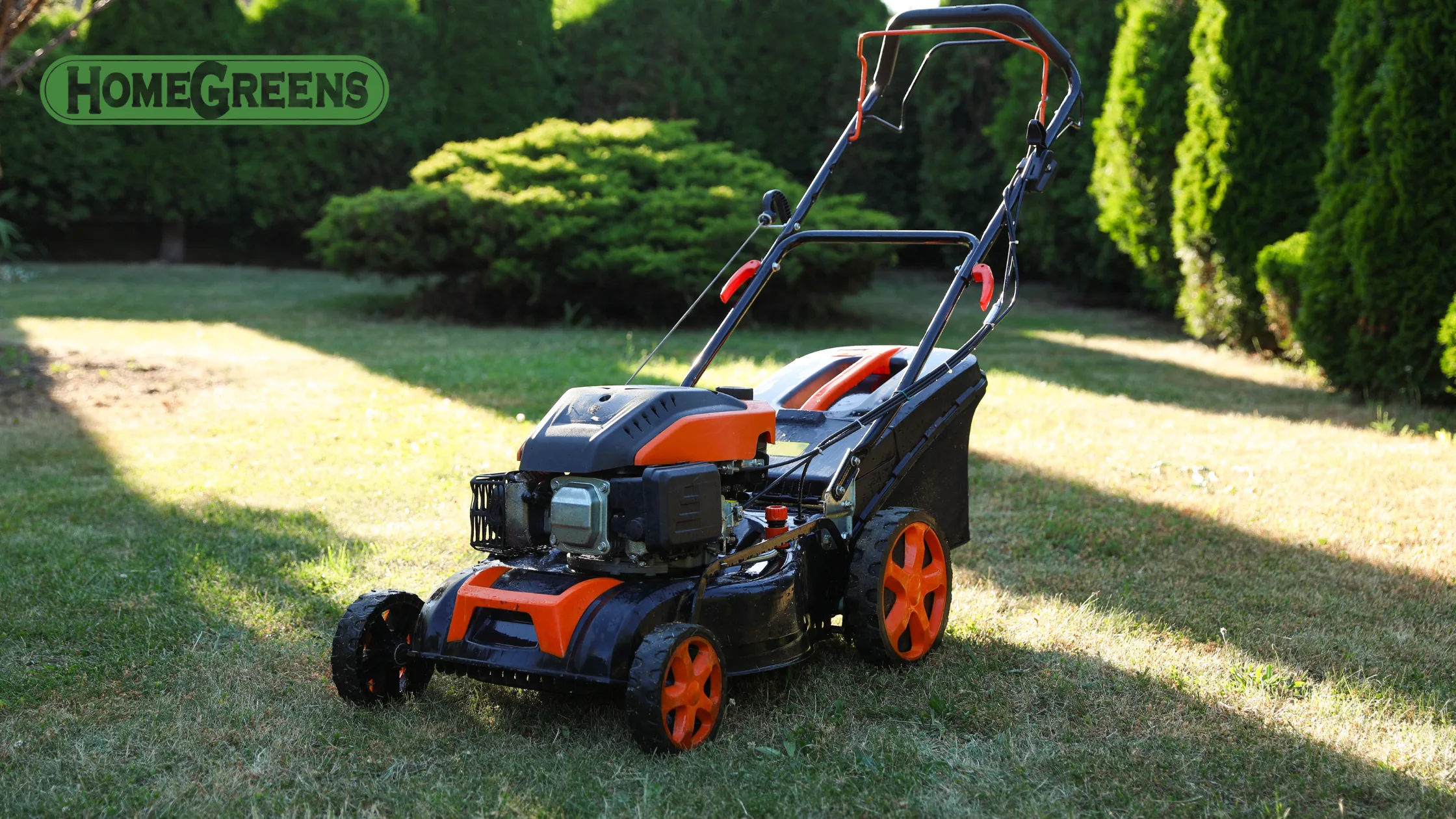 Best time to mow lawn in Perth during summer heat