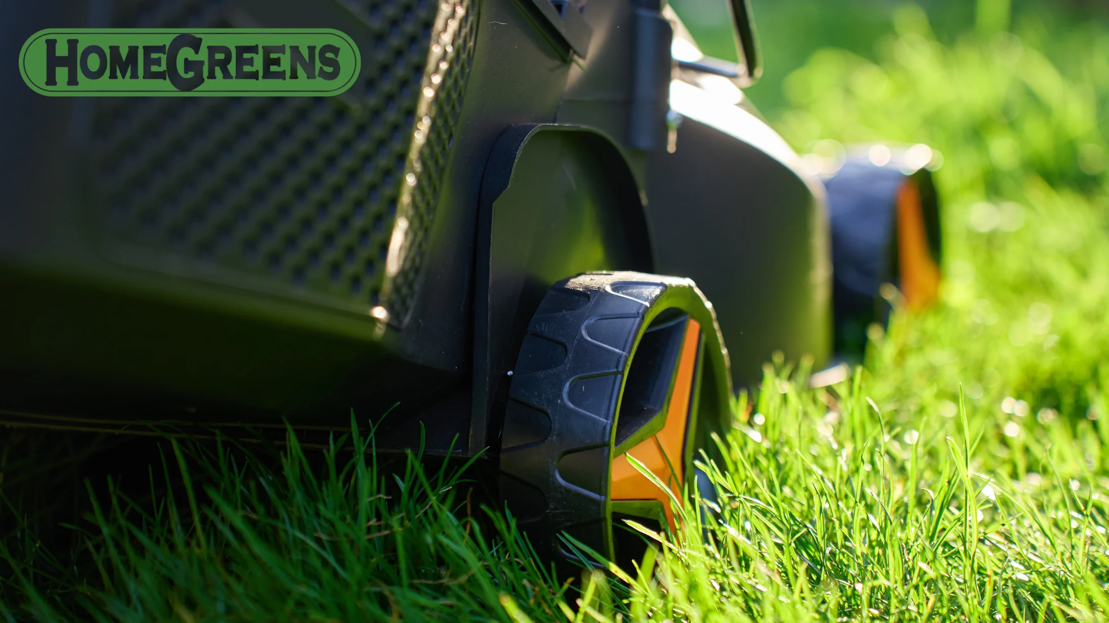 High mower deck setting protecting grass roots from sun scorch in Perth.