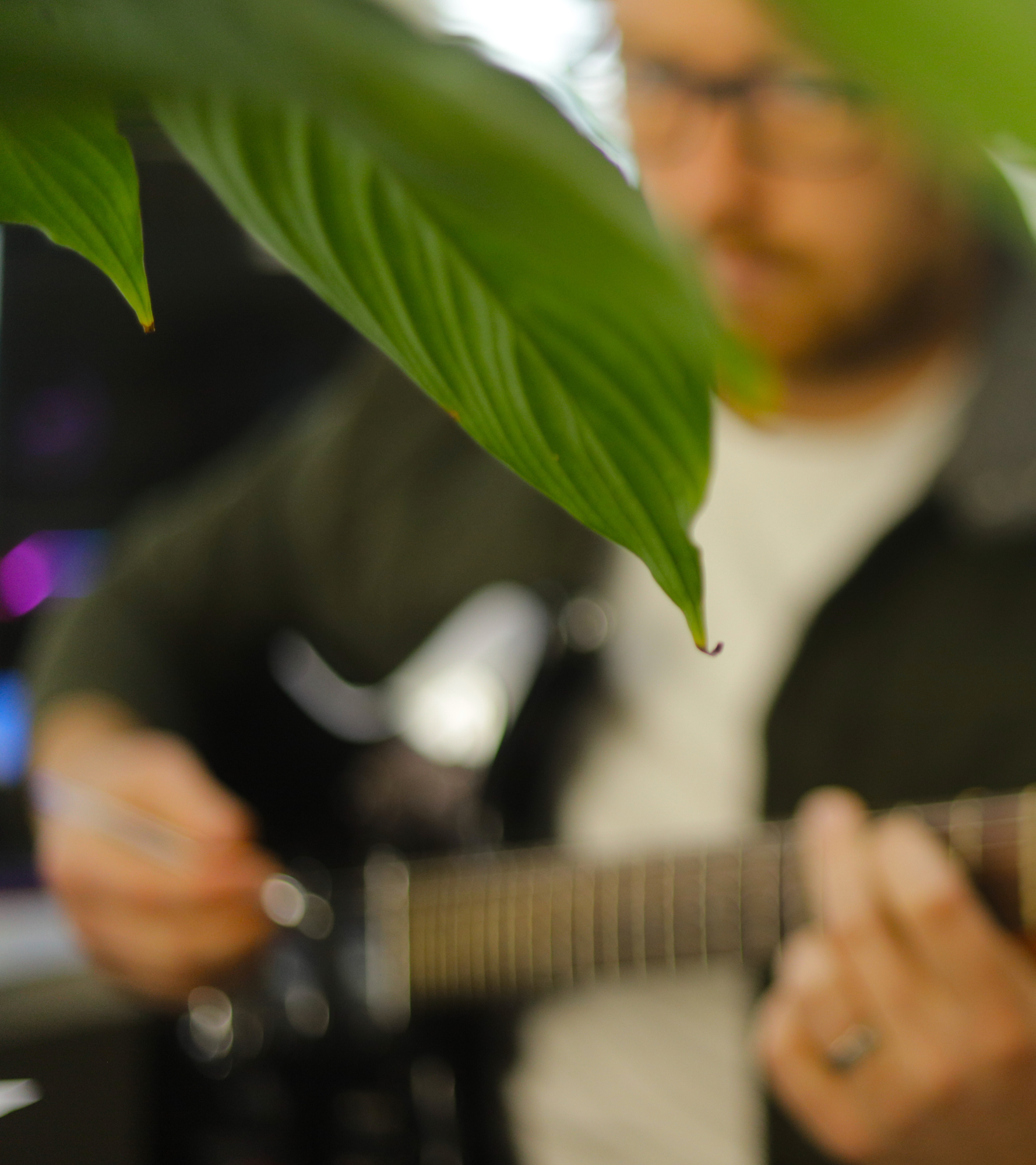 Beginner Guitar Essentials