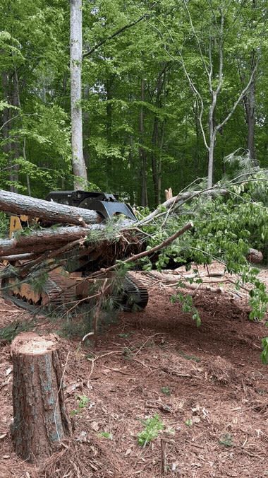 Land Clearing in action