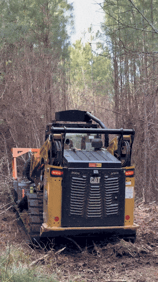 Forestry Mulching in action