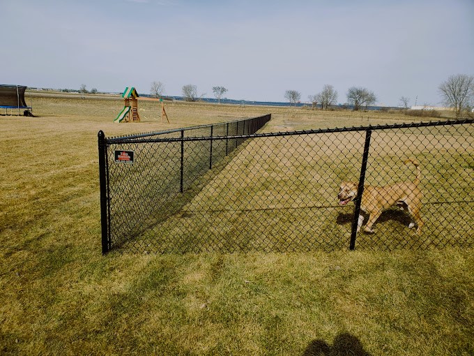 {{ custom_values.service_1 }} in {{custom_values.biz_area_1})