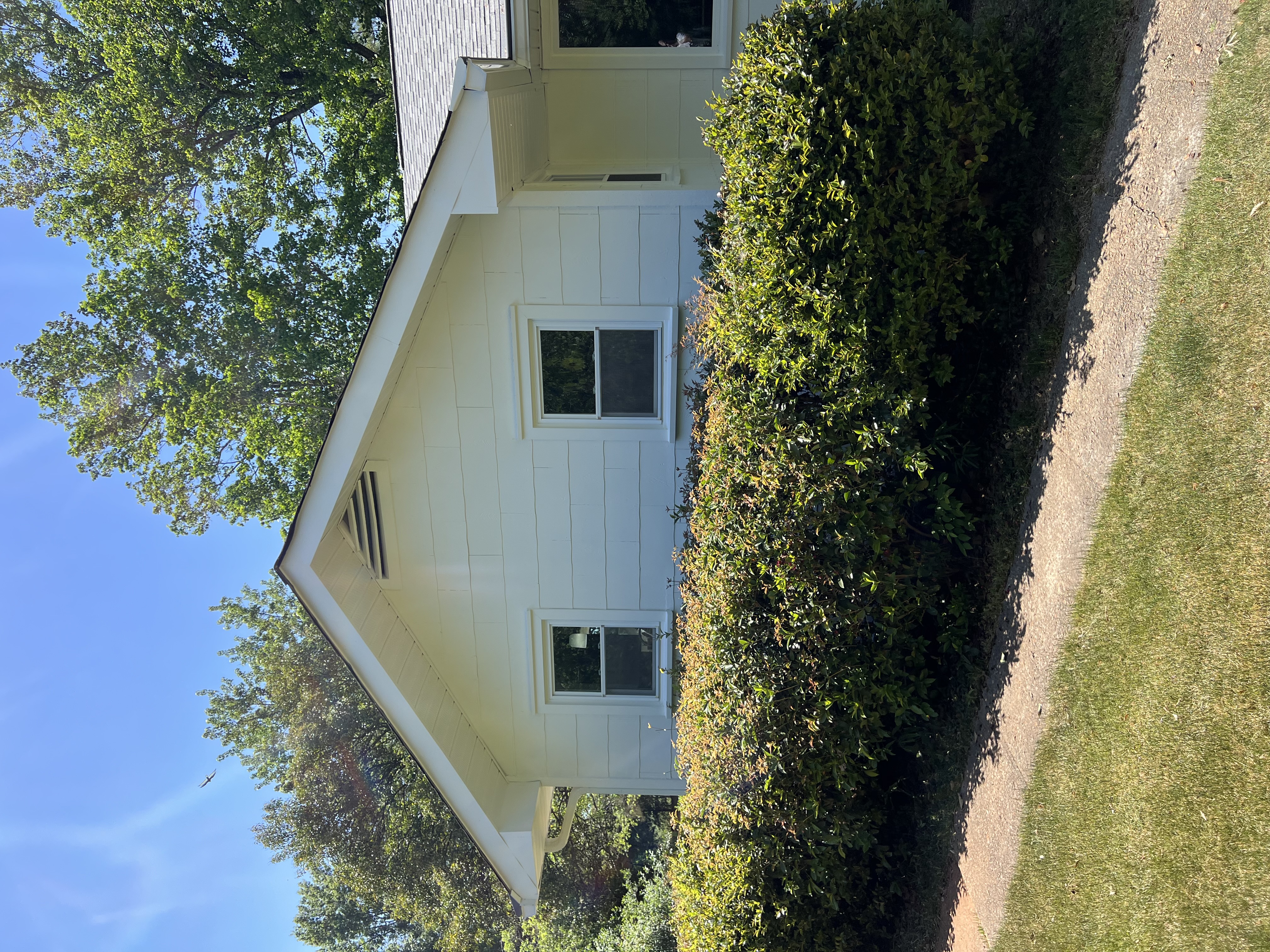 Exterior #3