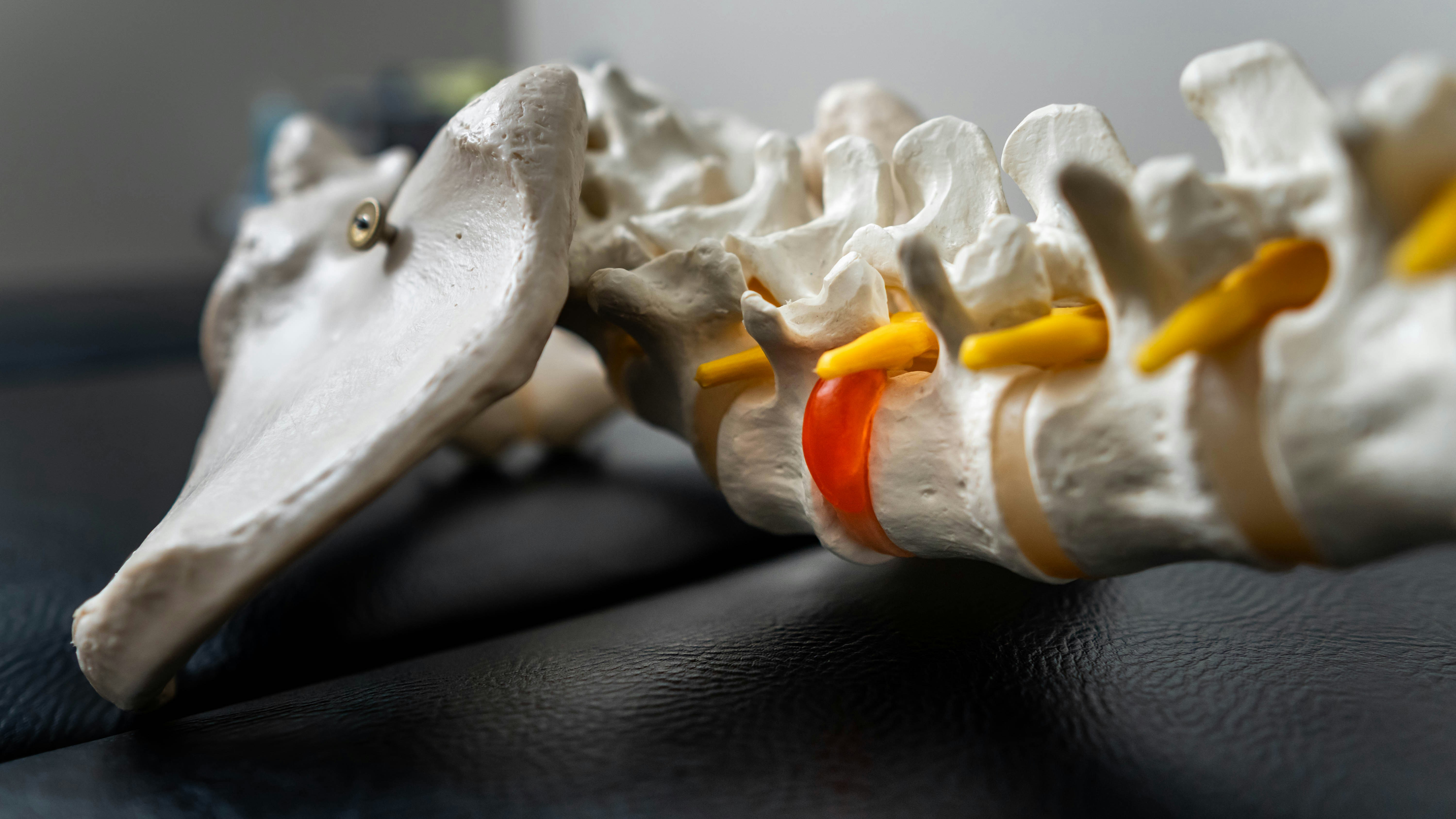 Lumbar spine Lumbar spine