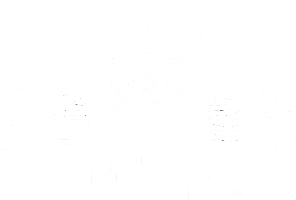 Logo 9