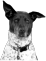 A round icon with a small image of a spotted dog and a purple background, used as a decorative FAQ marker.