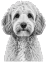 A round icon with a small image of a fluffy dog and a green background, used as a decorative FAQ marker.