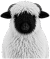 A round icon with a small image of a fluffy sheep and a peach background, used as a decorative FAQ marker.
