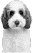 A round icon with a small image of a fluffy dog and a blue background, used as a decorative FAQ marker.
