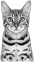 A round icon with a small image of a bengal cat and a gold background, used as a decorative FAQ marker.