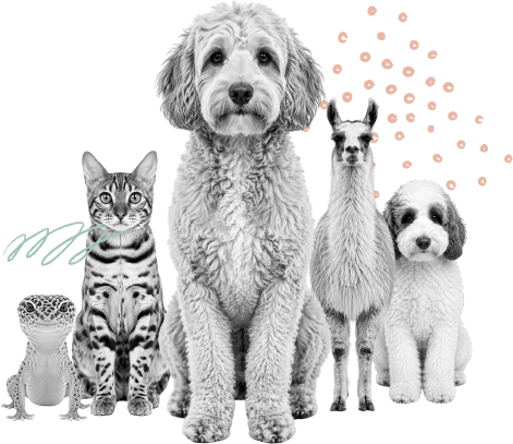 More team pets: fluffy dogs, a dachshund, a cat, and a llama pose together as "the cutest employees for sure."