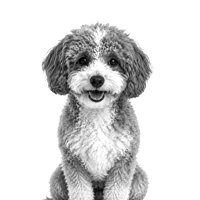 Round icon with a small image of a fluffy puppy on a peach background, acting as a marker for Episode 20: Choose the RIGHT Funnel for Your Business Goals.