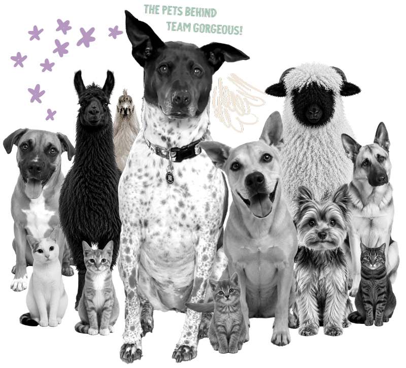A playful collage of dogs, cats, and other animals — the pets of Team Gorgeous.