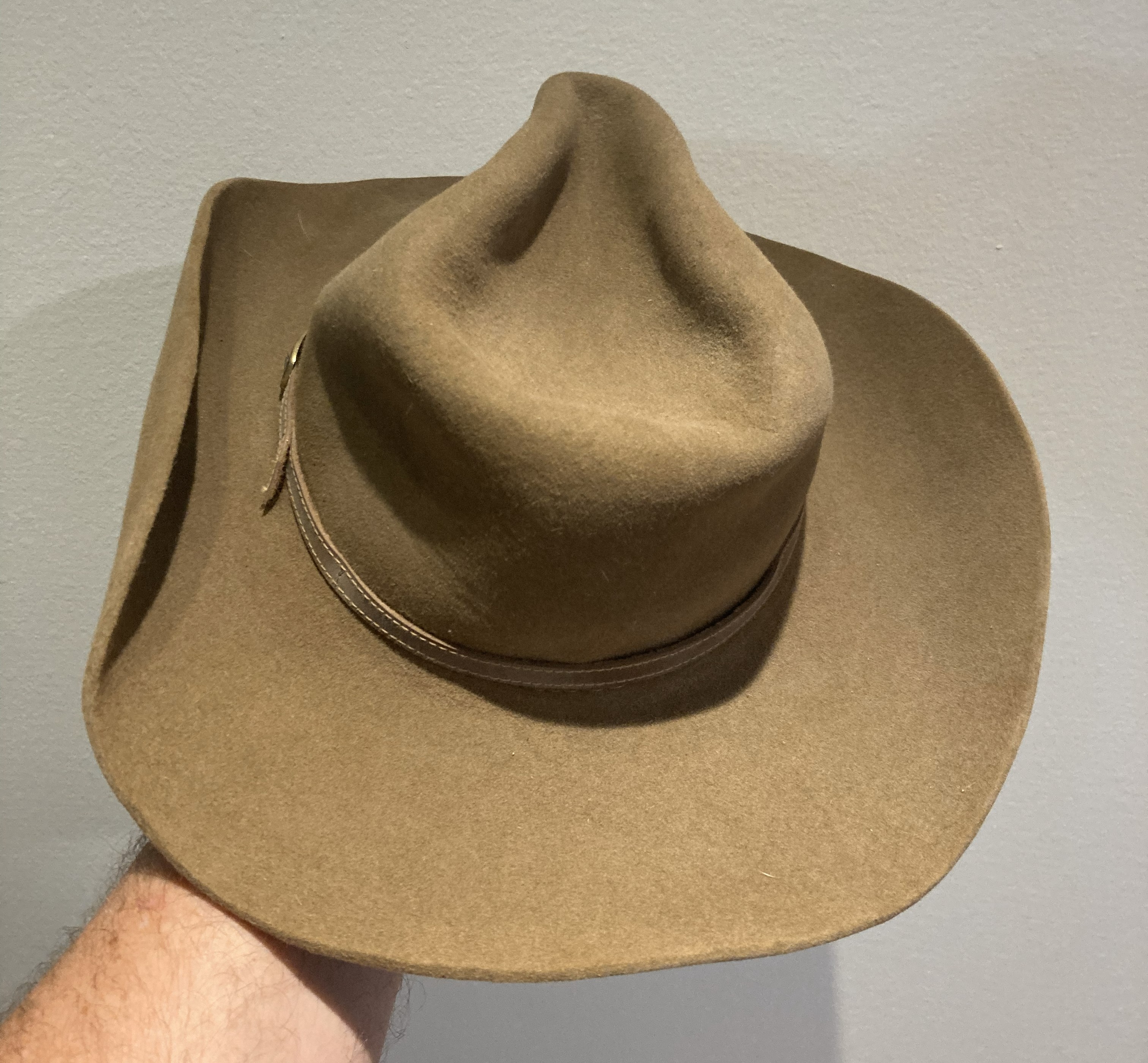 Reformed Brims custom hat