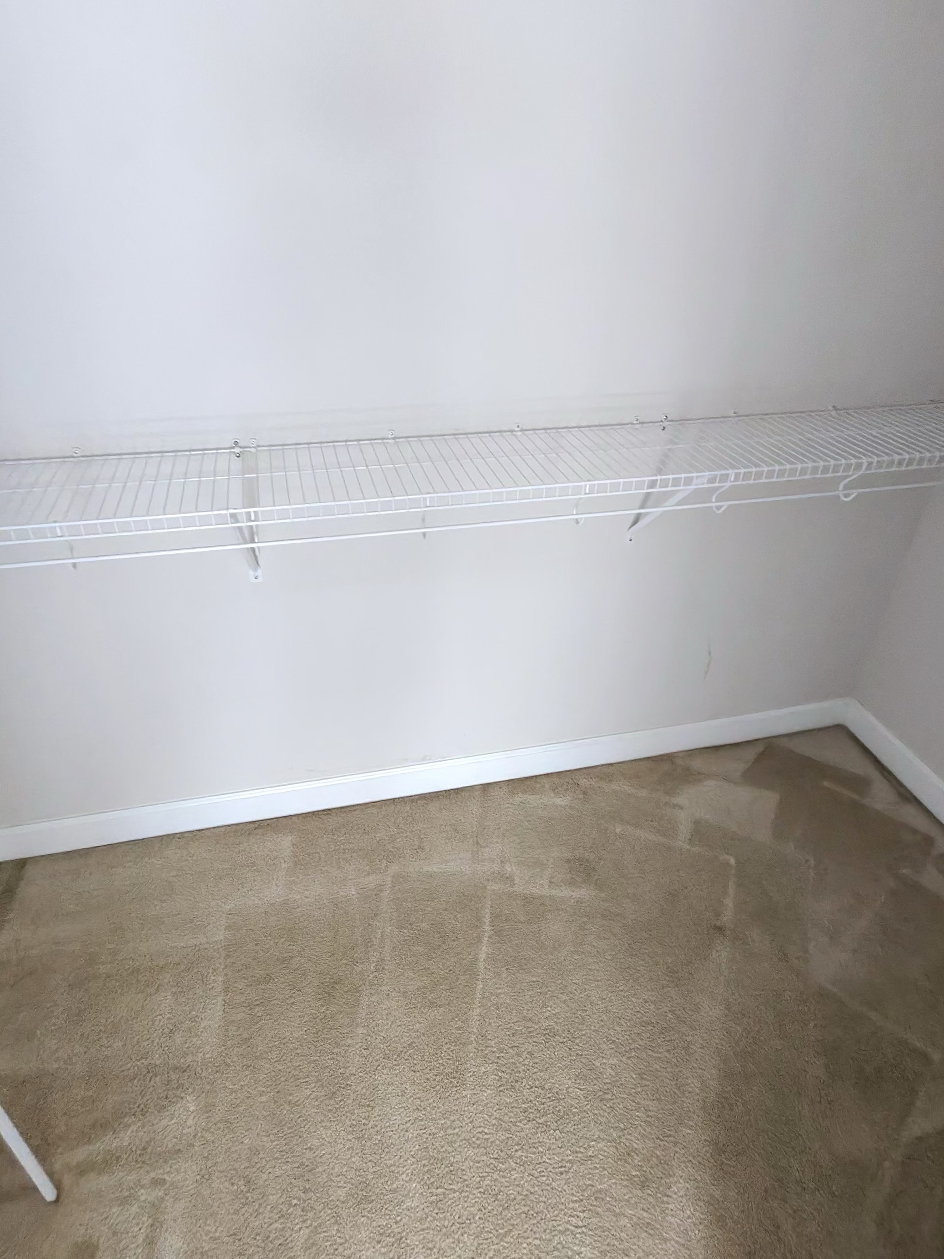 Cleaned closet area with a white wire shelf and carpeted floor below