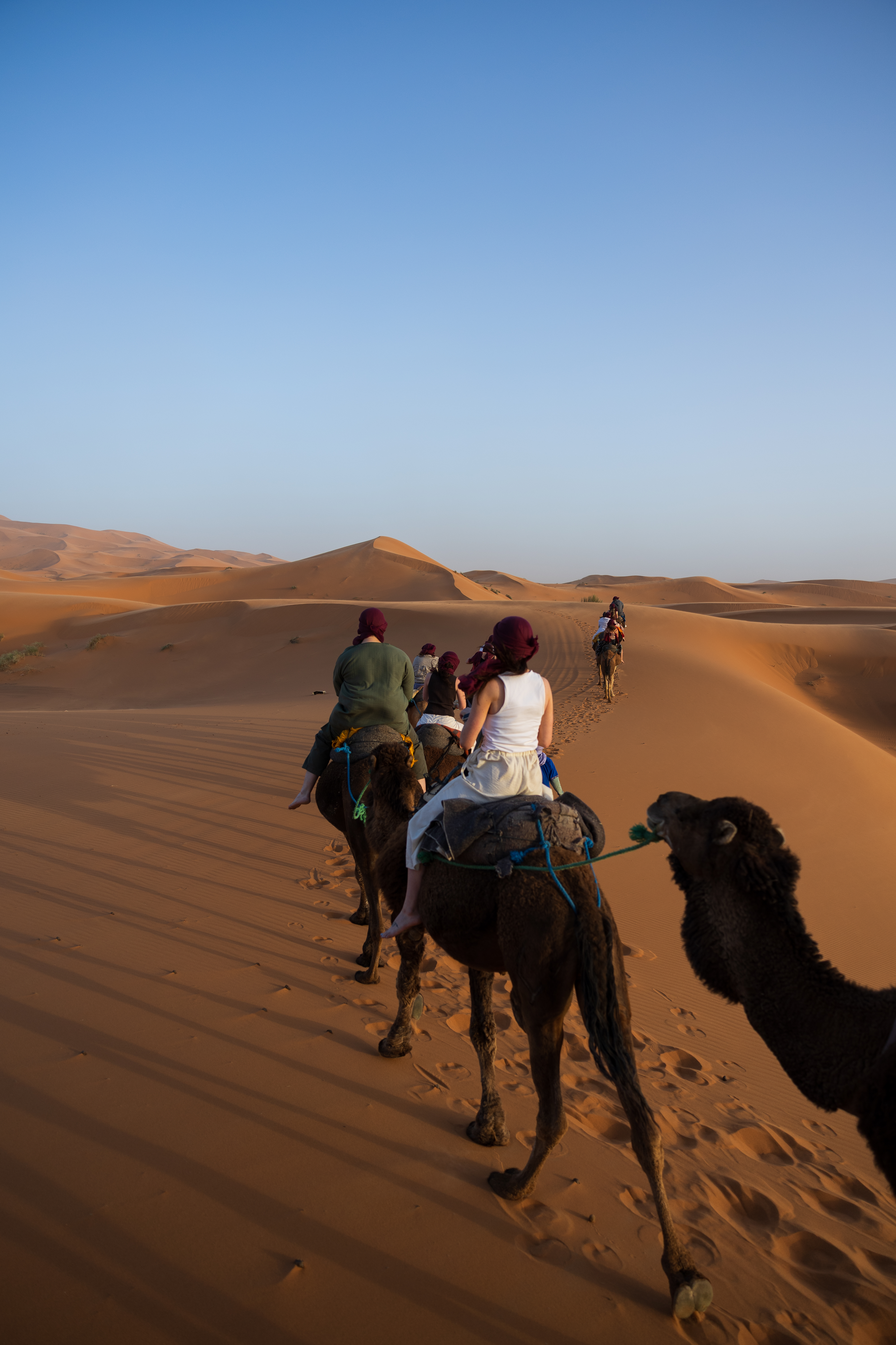 About the adventure
